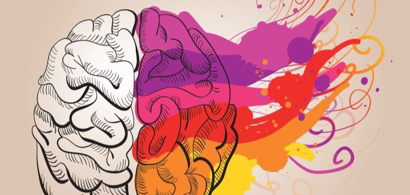 Il cervello non lavora per la verità, ma per la coerenza